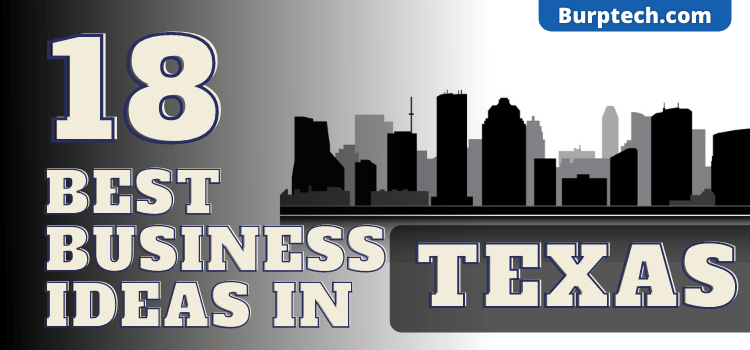 18 Successful Business Ideas To Start In Texas In 2024 - Burptech